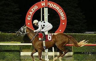 Elazığ’a 50 yarış günü