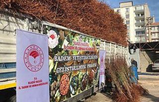 Elazığ’da çiftçiye 68 bin 500 adet badem fidanı...