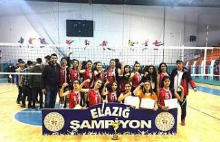 Elazığ’da voleybol müsabakaları sona erdi