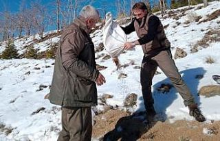 Elazığ’da yaban hayvanları için doğaya yem...