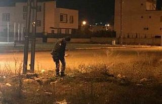Elektrik direğine tırmanan genç akıma kapılıp...