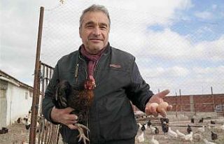 Emekli idareci kendini organik üretime verdi