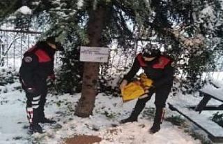 Emniyet ekipleri sokak hayvanlarını unutmadı