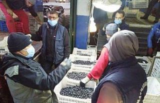 Erdek’te zeytin hasadında sona gelindi