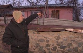 Erzincan’da köyün içine giren ayı görüntülendi