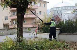 Erzincan’da sıcak asfalt, temizlik ve peyzaj çalışmaları...