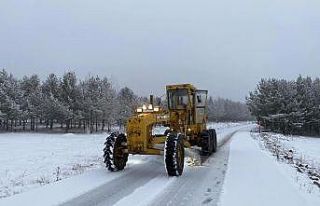 Erzurum’da 372 mahalleye ulaşım sağlanamıyor