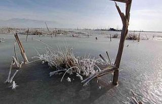Erzurum’da buz kesen nehirlerde görsel şölen