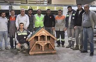 Eski kamelyalardan kedi evi yapıyorlar