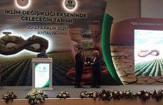 Eskişehir, ’şeker pancarı ve İtalyan çimi’...