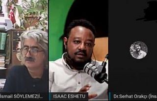 Etiyopya’daki Tigray krizi web seminerde tartışıldı