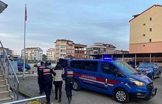 Ev hırsızları jandarmadan kaçamadı