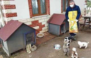 Fatsa belediyesi can dostların yanında