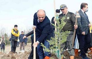 Fidanlar Alaaddin öğretmen için dikildi