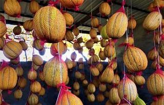 Fileye giren kavunların raf ömrü uzuyor