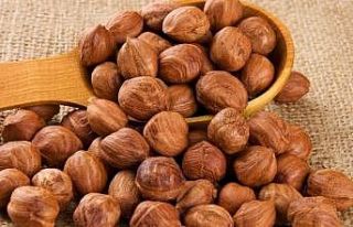 Fındık ihracatı geçen yıla göre arttı