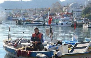 Fırtına balıkçıları vurdu, fiyatlar ikiye katlandı:...