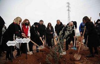 Gaziantep Büyükşehir iş birliğinde kente meyve...