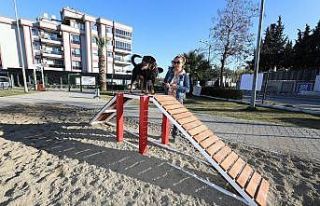 Gaziemir’de köpeklere özel park açıldı