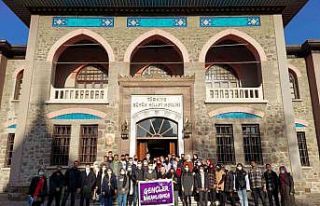 Gençler kültürel gezide