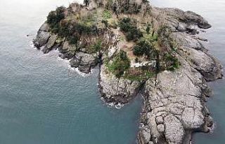 Giresun Adası’nda kazılar yeniden başlayacak