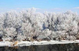 Göle buz kesti: - 30