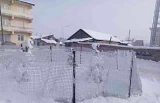 Göle’de soğuk hava hayatı olumsuz etkiledi