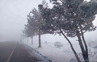Göle’de soğuk hava ve sis etkili oluyor