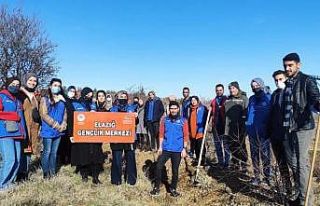Gönüllü gençlerden gönüllere dokunan hareket
