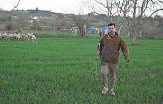Gündüz işyerlerinin gece sahnenin tozunu attırıyorlar
