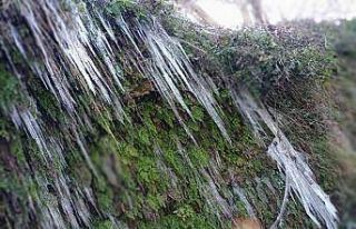 Güney şelalesi buz tuttu