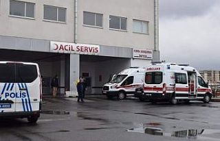 Güvercin beslerken sırtından bıçaklandı