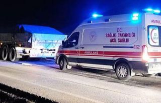 Hafif ticari araç ile kamyon çarpıştı: 2 yaralı