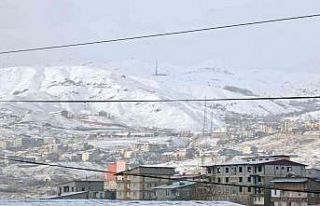Hakkari beyaza büründü