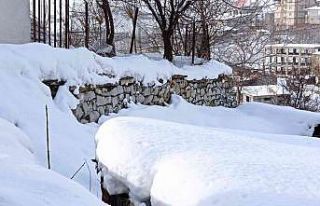 Hakkari’de 196 yerleşim yerinin yolu ulaşıma...