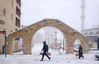 Hakkari’de 56 yerleşim yeri ulaşıma kapandı