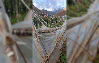 Hakkari’de rüzgar seralara zarar verdi