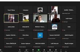 Halı tasarımı öğrencilerinin online sektör eğitimi