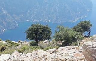 Hamile eşini kayalıklardan ittiği öne sürülen...