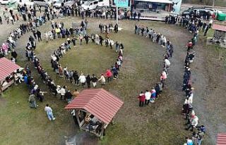 Hamsi festivalinde 3 bin kişiye 2 ton hamsi dağıtıldı