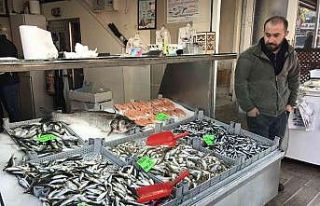 Hamsi tezgahlarda 40 TL’yi gördü