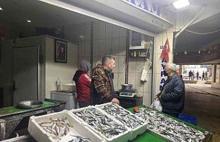 Hamsi ve palamudun yerini istavrit aldı, kilosu 25...
