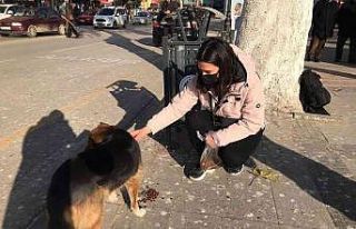 Harçlığından biriktirdiği paralarla sokak hayvanlarını...