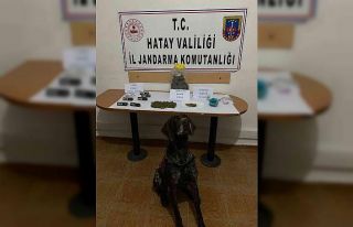 Hassa’da uyuşturucu operasyonu