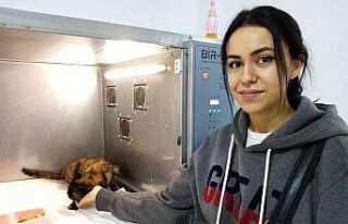 Hasta sandı, tüfekle vurulduğunu öğrendi