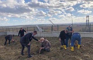 Hayatlarının son baharında fidan diktiler