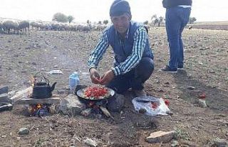 Hayvan otlatma meselesi kanlı bitti: 1 ölü