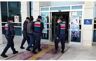 Hayvan satma vaadiyle 243 bin liralık dolandırıcılık...