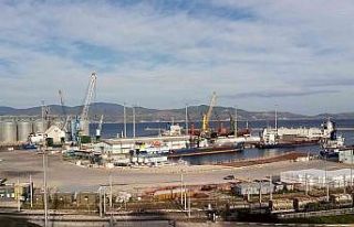 Hayvan yüklü gemi iki saatte tahliye edildi