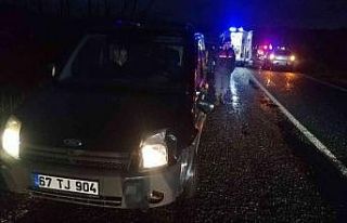 Hayvanların peşinden giderken kamyonet çarptı